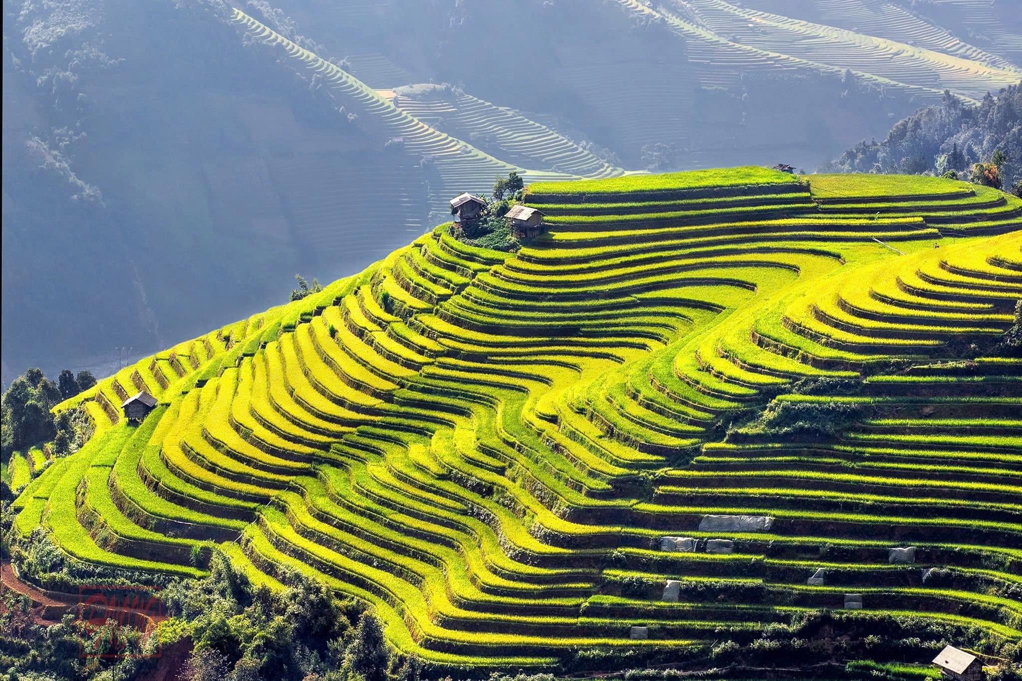Sapa landscape 5